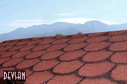 Quick Shingle